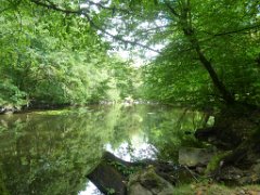 Promenade La Glane (19)